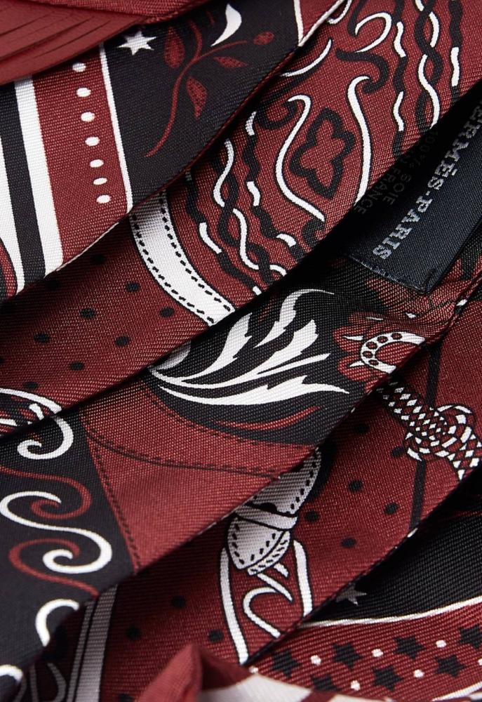 Hermès Hermès Festival Amazones Bandan Reilly Scarf - 2