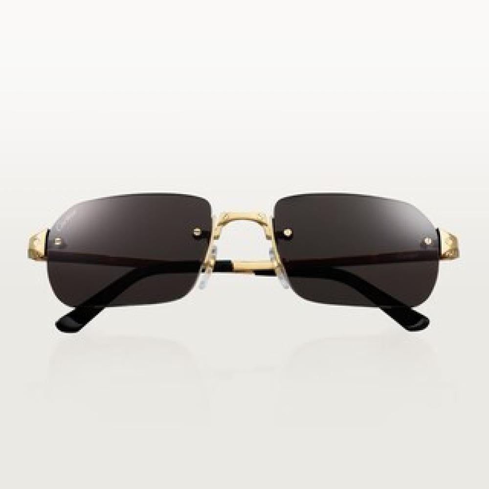Cartier Santos de Cartier Sunglasses - 2