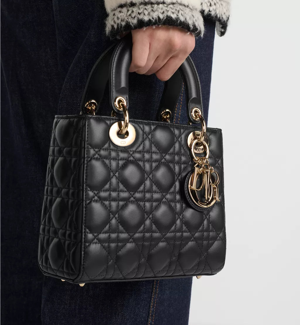 Small Lady Dior My ABCDior Bag