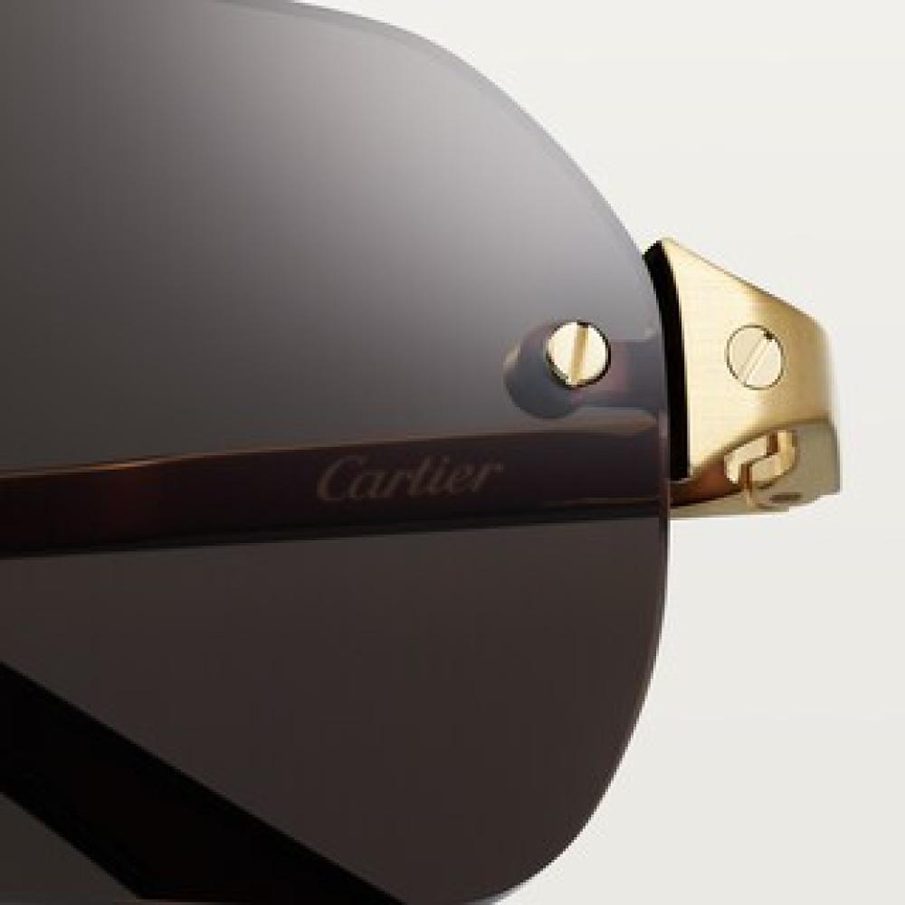Cartier Santos de Cartier Sunglasses - 4