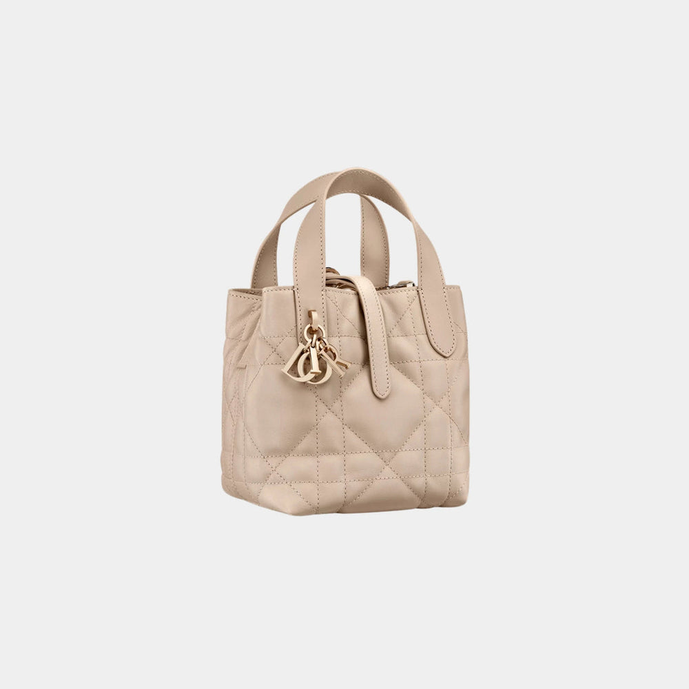 DIOR Toujours Vertical Nano Tote Bag
