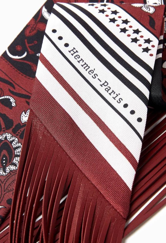 Hermès Hermès Festival Amazones Bandan Reilly Scarf - 4